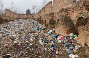 Скидання сміття на Житомирщині: облрада просить владу Львова розібратися з проблемою