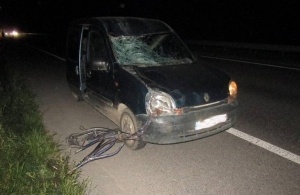 У Житомирській області в ДТП загинув велосипедист