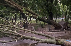 На Житомир обрушилася стихія: потопи, повалені дерева і зірвані дахи. ФОТО
