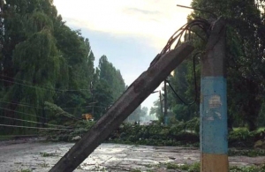Повалені дерева, зірвані дахи: у Житомирі ліквідовують наслідки буревію
