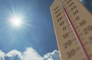 Спека до 35 градусів: у Житомирі оголосили надзвичайну пожежну небезпеку