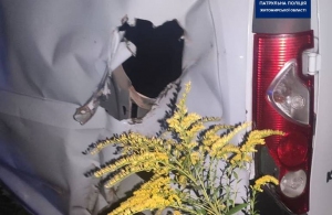 На Житомирщині водій авто злетів з дороги і протаранив паркан приватного будинку
