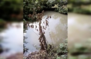 Чергова аварія на КНС: на цей раз постраждала річка Крошенка