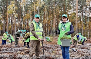 За один день в Житомирській області висадили 1 000 000 дерев