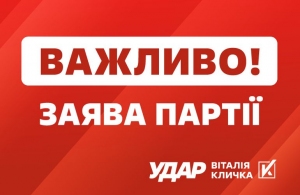 «УДАР» не залякати, Україна буде сильною!», - житомирські партійці заявляють про напади і тиск на волонтерів