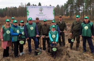 «Наш край» висадив дерева в Олевській та Миропільській громадах