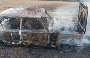 У Житомирській області чоловік разом з сухою травою спалив свій автомобіль. ФОТО