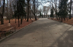 Депутат від «Нашого краю» облаштував зону відпочинку в парку на Житомирщині