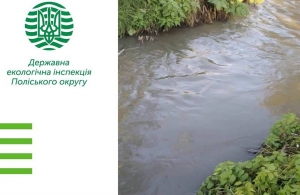 Житомирводоканал забруднив стоками річку Кам'янка - екологи