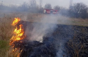 На Житомирщині чоловік влаштував прибирання подвір'я і ледь не спалив свій будинок. ФОТО