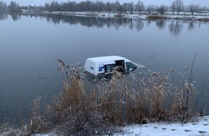 На Житомирщині водійка легковика з'їхала в ставок, щоб не збити собаку