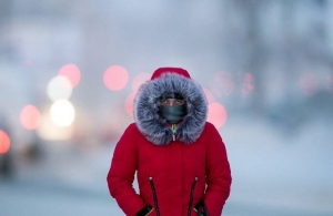 Ударить мороз: у Житомирі з наступного тижня очікується різке похолодання