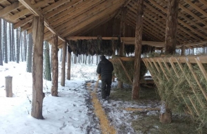 Для диких тварин у лісах Житомирщини облаштували понад 150 підгодівельних майданчиків