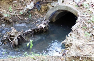 З унітазу прямо в річку: мешканці Житомира роками забруднювали воду фекаліями