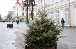 Вкрали новорічний настрій: невідомі поцупили з вулиці Михайлівської декоративну ялинку. ВІДЕО