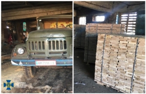СБУ ліквідувала «дубовий» бізнес депутата: відправляв із Житомирщини до ЄС незаконну деревину