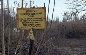 У Житомирській області фермерським господарствам роздали сотні гектарів радіоактивно забруднених земель