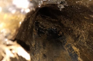 У Житомирі знайшли дерев'яний трубопровід: йому більше 100 років. ФОТО