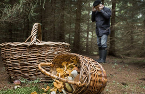 Провів ніч у лісі: на Житомирщині після 10 годин пошуків знайшли заблукалого грибника