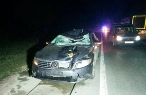 Смертельна ДТП в Житомирській області: чоловік перебігав дорогу і потрапив під колеса Volkswagen