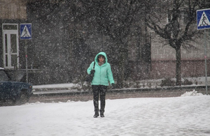 Перший сніг у Житомирі. ФОТОРЕПОРТАЖ