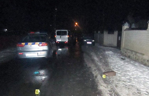 П'яний водій на смерть збив жінку в Житомирській області