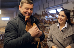 Прибутковий бізнес: на Житомирщині фермер вирощує еко-курей аби отримувати еко-яйця