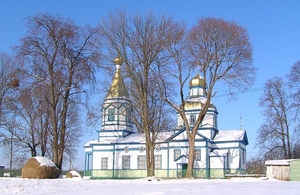На Житомирщині активісти не пустили до храму священика «Московського патріархату». Думки містян розділилися