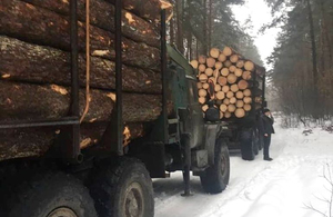 На Житомирщині затримали два «Урали», завантажені незаконною деревиною. ФОТО