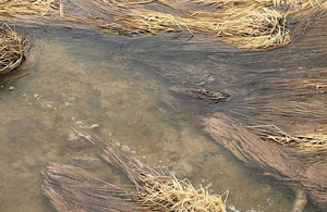 Екологи б'ють на сполох: у Житомирській області знову забруднюють річку Хомора