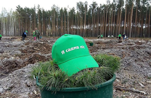 Відродження лісу: на Житомирщині планують висадити 19 мільйонів дерев