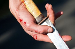 Трагедія на Житомирщині: 21-річних хлопець зарізав свою мати