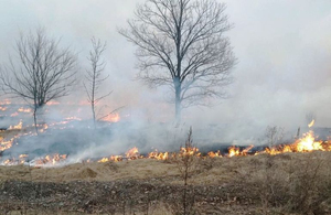 На Житомирщині палає суха трава: за вихідні зафіксовано понад 80 загорянь. ФОТО