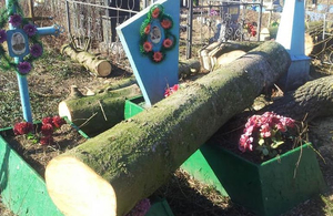 У Житомирській області спиляні дерева пошкодили могили на кладовищі. ФОТО