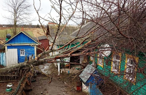 На Житомирщині ліквідують наслідки негоди. Без світла залишаються понад 50 населених пунктів