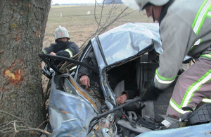 Страшна ДТП на Житомирщині: водій загинув, пасажир дивом залишився живий. ФОТО
