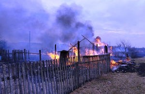 Через суху траву ледь не згоріло ціле село на Житомирщині. ФОТО