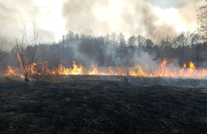 Понад 500 пожеж з початку року: житомирські рятувальники закликають не спалювати суху траву та сміття