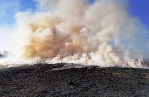 Пожежа на Житомирщині: в палаючій траві загинула літня жінка