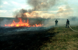 Масштабна пожежа на Житомирщині: 82 людини і 19 одиниць техніки гасили покинуте село