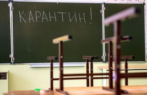 Через спалах кору на карантин закрили 2 школи в Житомирській області