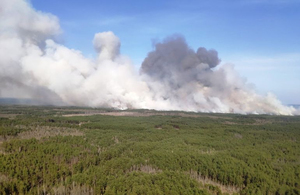 У Житомирській області горять ліси: пожежу гасять понад 200 людей і авіація. ФОТО