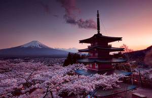 Дні Японії: Житомир на кілька днів перетвориться в містечко з країни сонця, що сходить