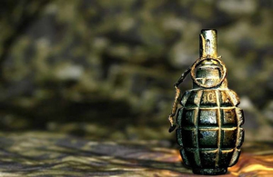 У Житомирській області у подвір'я приватного будинку кинули гранату. ФОТО