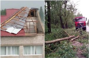 Зірвані дахи та повалені дерева: буревій наробив лиха на Житомирщині. ФОТО