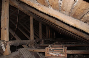 У двох навчальних закладах Житомира відремонтують дахи. ФОТО