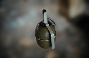 Сховок зі зброєю: на Житомирщині випадковий перехожий знайшов мішок з гранатами. ФОТО
