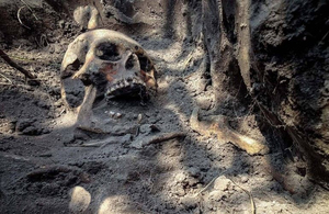 Скелети жінок і дітей, жорстоко вбитих радянською владою, знайшли неподалік Житомира. МОТОРШНІ ФОТО