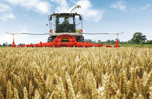 У Житомирській області в порівнянні з минулим роком збільшився врожай зернових