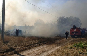Масштабна пожежа на Житомирщині знищила 6 дачних будинків. ФОТО